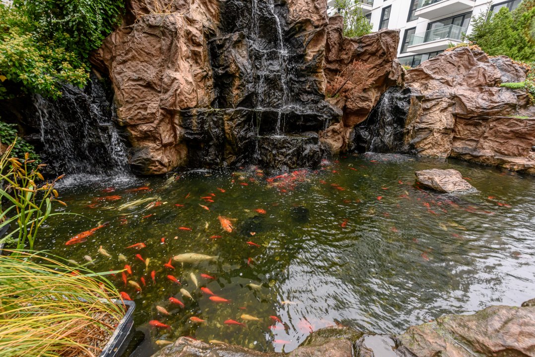 North Area Lake View apartament - terasa cu gradina