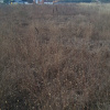 Balotesti - Saftica - Flamingo Park -476 mp
