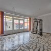 Vila spatioasa S+P+2 - str Iancu Jianu - Margeanului